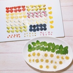 marurun4様ご注文ページ　押しフルーツ