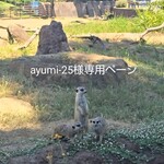 ayumi-25様専用ページ