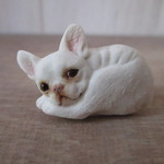 豆フレンチブルドッグ・クリーム～Ｃ