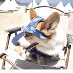 セール　犬服　アクセサリー　帽子　フレンチブルドッグ　ボストンテリア　シュナウザー　パグ　トイプードル　柴犬　コーギー　ポメラニアン