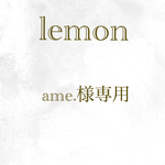 ame.様専用(ポシェットなし、すのチル)
