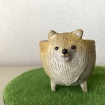 ポメちゃん's  豆鉢　クリーム