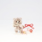 Proomy 優しい笑顔の赤ちゃんクマさん ミニチュア テディベア セット