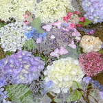 専用ページになります