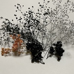 花材　黒を中心としたドライフラワー詰め合わせ