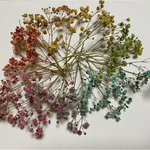 花材　カラフルなかすみ草のドライフラワー　詰め合わせ