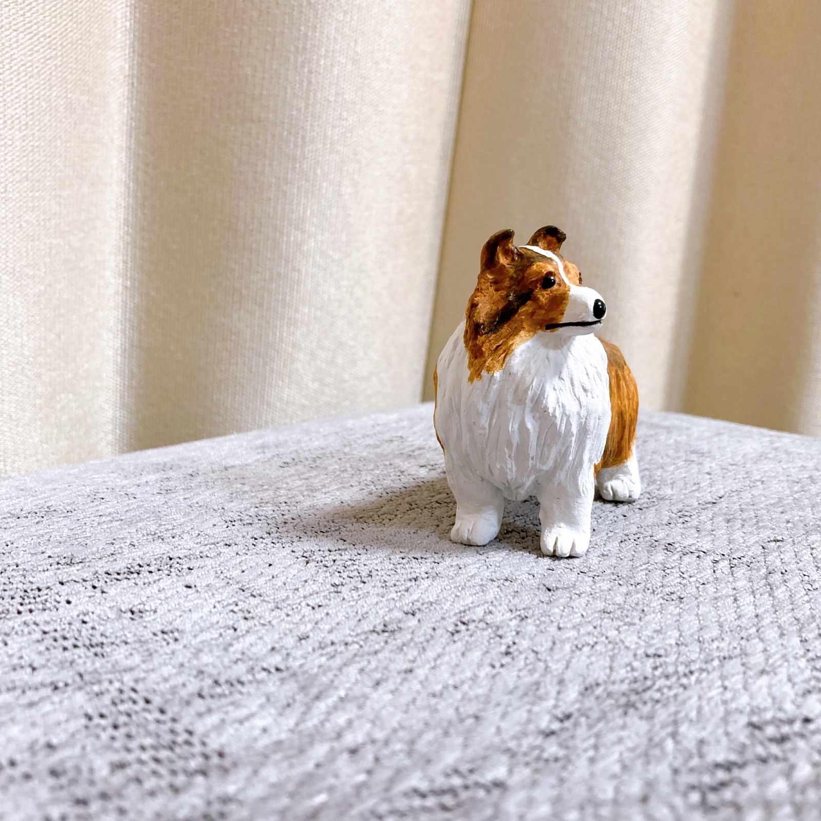 シェルティ シェットランドシープドッグ セーブル ミニチュア 犬