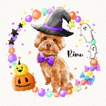 うちの子ハロウィンイラスト 水彩画風
