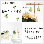 【夏の福袋】カッパ福袋