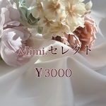 Mimi.セレクト袋￥3000ピアス