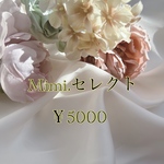 Mimi.セレクト袋￥5000ピアス