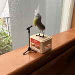 さ、3番ハシビロコウ つ、翼をください歌いますっ