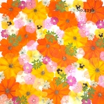 ♡new♡作家様必見♡押し花MIXセット♡押し花セット