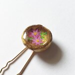 【秋9~11月】コスモスのかんざし