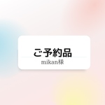貝殻12枚
