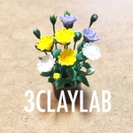 ☆送料無料☆ずっと一緒だよ/菊　3種