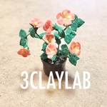 ☆在庫処分品☆ずっと一緒だよ/ノウゼンカズラ
