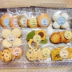 わくわく月替わりセット（8月）
