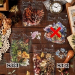 送料無料【S323 コラージュ素材】海外PETシール　植物　花　秋　ジャーナル　手帳　おすそ分け　スクラップ