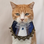 サファイア王子様
