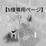 【N様専用ページ】