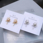 ピアス 煌めきスターとパール 金属アレルギー対応 ピアス イヤリング 樹脂 ピアス チタン ピアス サージカルステンレス ピアス パール 星  秋 ピアス