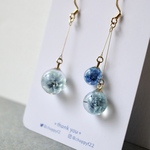 水の雫とかすみ草 ピアス/イヤリング  02ライトブルー&ロイヤルブルー ドライフラワー アシンメトリー 花 青