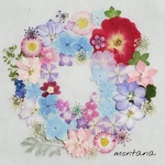 81.押し花アソート〜お花　mix 押し花素材