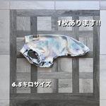 イタグレの服　イタグレ服　イタグレ