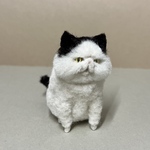 頬毛が自慢です