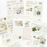 Art newspaper 5シート入りシール Plant<S528>