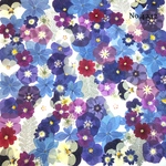 ♡new♡作家様必見♡押し花MIXセット♡押し花セット