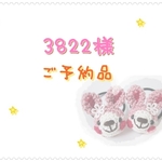 【ご予約品】3822様専用ページ