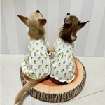 【犬服セミオーダー】パピー犬服小型犬服ロング犬服中型犬服 真夏の抗菌消臭吸汗速乾COOL犬服 南国パイン柄ワンピース＆バルーンタイプ
