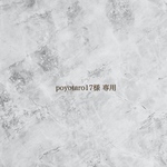 《poyotaro17様 専用》