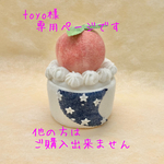 toyo様専用ページです🍑🌌⭐️