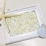 大人気❤︎さざれビーズ❤︎マザーオブパール❤︎25g