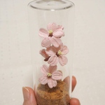 桜🌸のガラスボトル