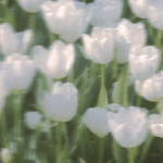 bubble0601様専用