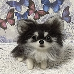 羊毛フェルト　チワワ