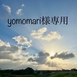薄いグリーンパールとラメ入りピアス・イヤリング