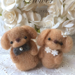 💞いつまでも仲良し〜💞トイプードルだワン🎵
