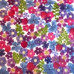 ♡new♡作家様必見♡押し花MIXセット♡押し花セット