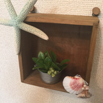 きらりんサマー