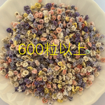 ★訳あり★600粒以上かすみ草