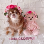 [専用です] 犬帽子 薔薇の花冠🌹ヘッドドレス