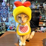 ネコミちゃん