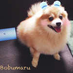 ＊kawaiijun様ご購入専用ページ＊