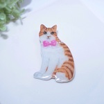 おしゃれリボンの猫ブローチ　（茶トラ×白）