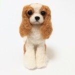 キャバリア お座りポーズ